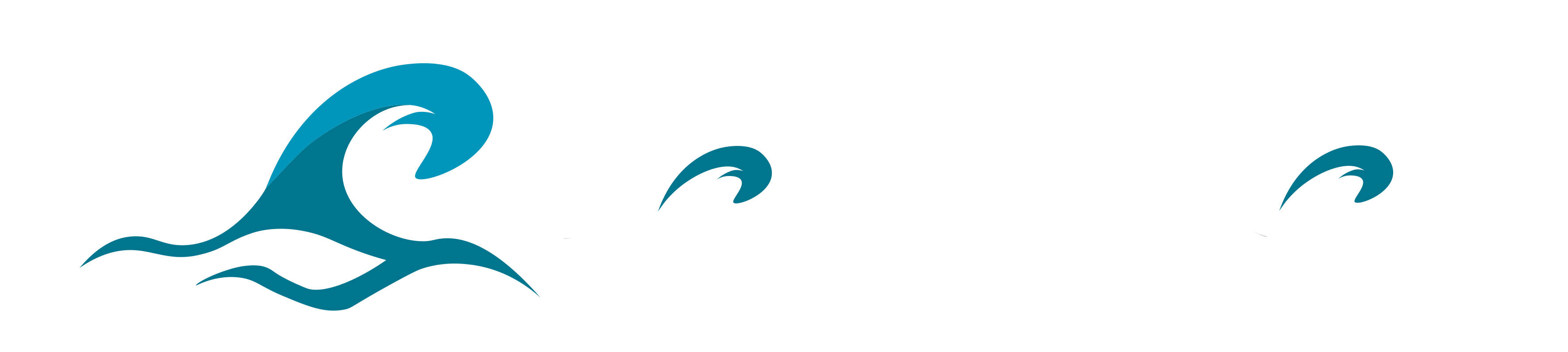 SMC LAGUNA